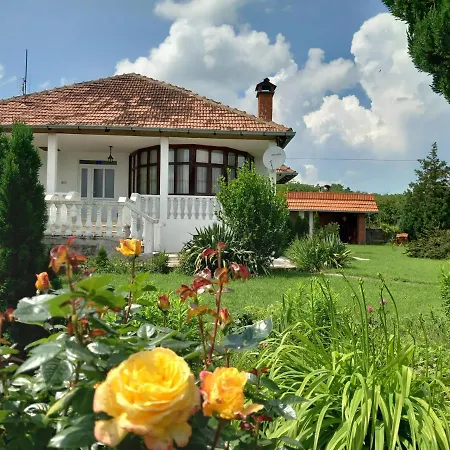 Apartmani Cosic Kursumlija Exterior photo