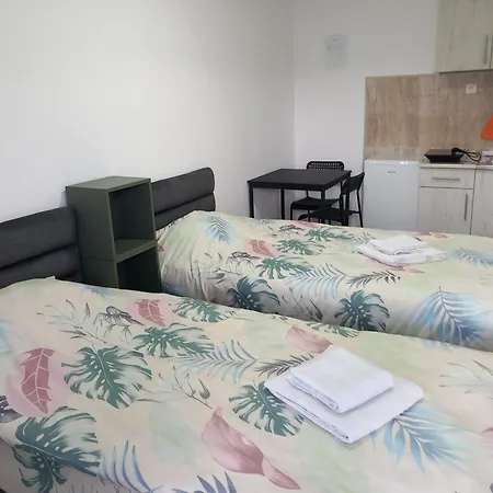 Apartmani Cosic Kursumlija Exterior photo