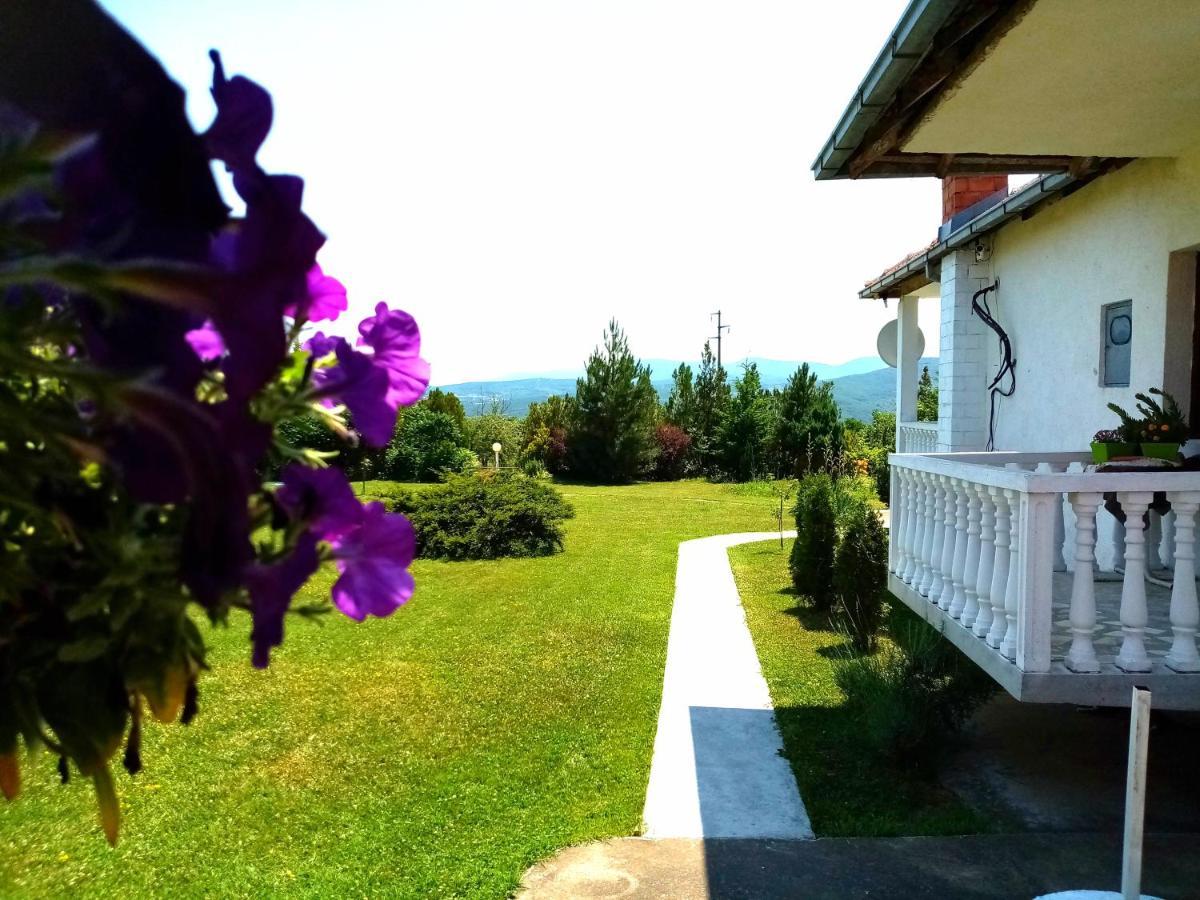 Apartment Cosic *
