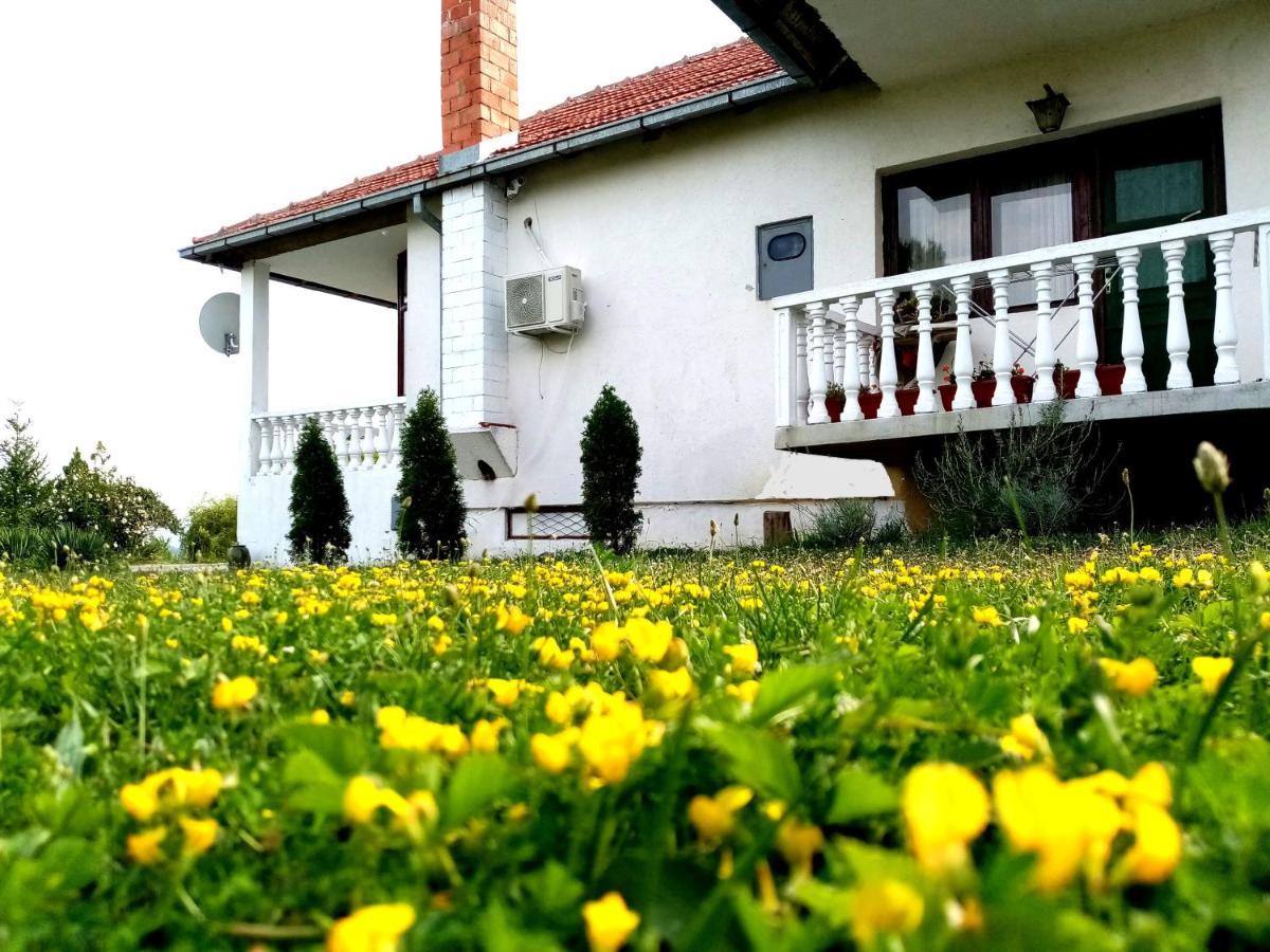 Cosic Apartment Kursumlija