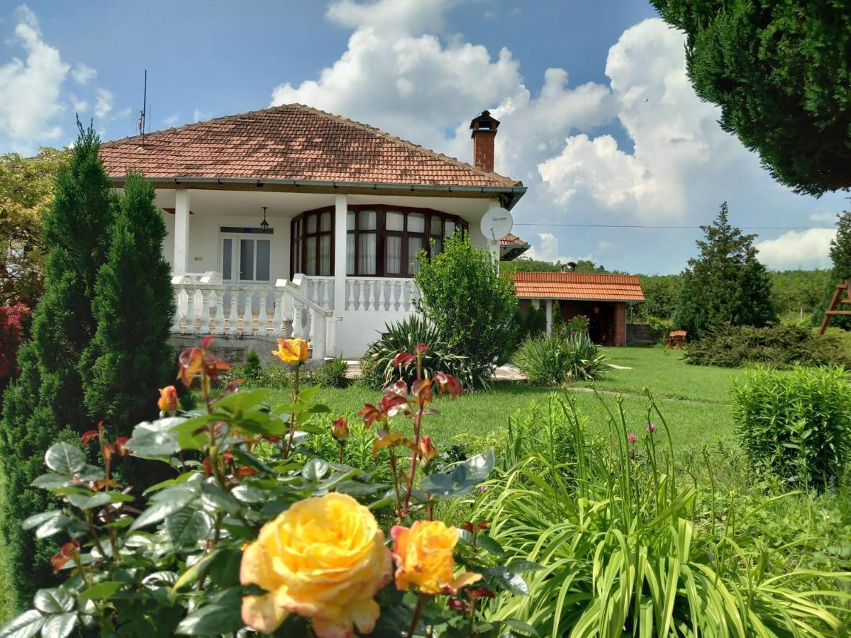 Apartment Cosic *