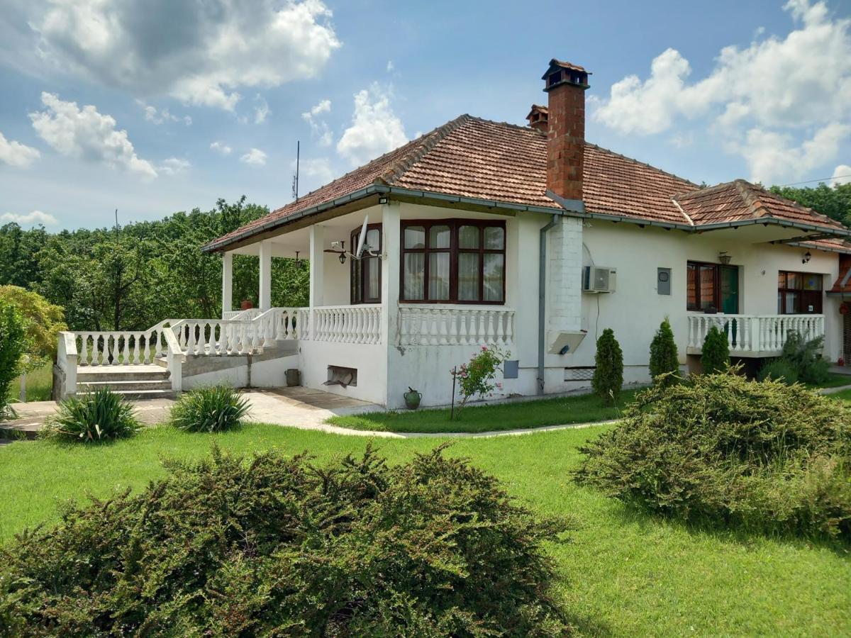Cosic Apartment