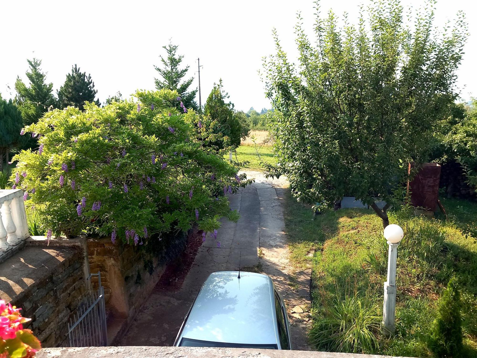 Cosic Apartment